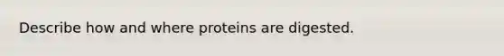 Describe how and where proteins are digested.