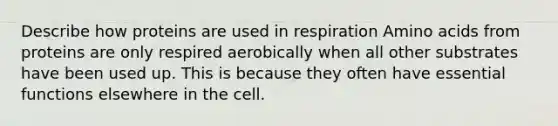 Describe how proteins are used in respiration Amino acids from proteins are only respired aerobically when all other substrates have been used up. This is because they often have essential functions elsewhere in the cell.