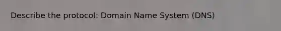 Describe the protocol: Domain Name System (DNS)