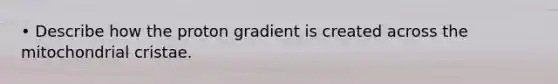 • Describe how the proton gradient is created across the mitochondrial cristae.