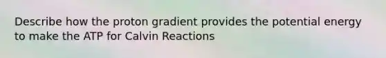 Describe how the proton gradient provides the potential energy to make the ATP for Calvin Reactions