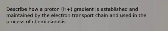 Describe how a proton (H+) gradient is established and maintained by the electron transport chain and used in the process of chemiosmosis