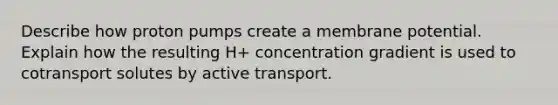 Describe how proton pumps create a membrane potential. Explain how the resulting H+ concentration gradient is used to cotransport solutes by active transport.