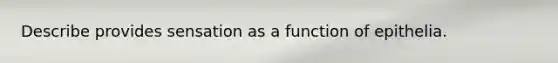 Describe provides sensation as a function of epithelia.