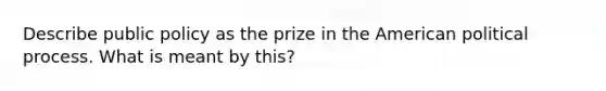 Describe public policy as the prize in the American political process. What is meant by this?