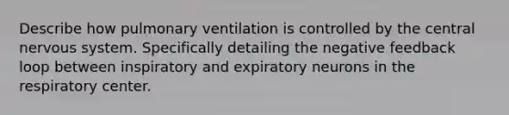 Describe how pulmonary ventilation is controlled by the central nervous system. Specifically detailing the negative feedback loop between inspiratory and expiratory neurons in the respiratory center.