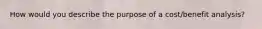 How would you describe the purpose of a cost/benefit analysis?