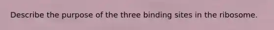 Describe the purpose of the three binding sites in the ribosome.