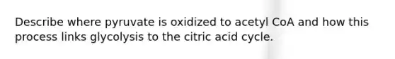 Describe where pyruvate is oxidized to acetyl CoA and how this process links glycolysis to the citric acid cycle.