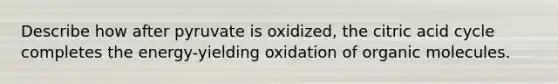 Describe how after pyruvate is oxidized, the citric acid cycle completes the energy-yielding oxidation of organic molecules.