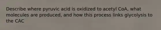 Describe where pyruvic acid is oxidized to acetyl CoA, what molecules are produced, and how this process links glycolysis to the CAC