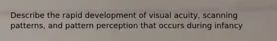 Describe the rapid development of visual acuity, scanning patterns, and pattern perception that occurs during infancy