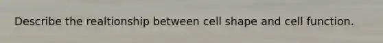 Describe the realtionship between cell shape and cell function.