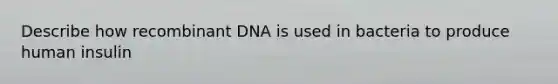 Describe how recombinant DNA is used in bacteria to produce human insulin