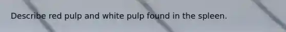 Describe red pulp and white pulp found in the spleen.