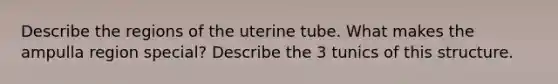 Describe the regions of the uterine tube. What makes the ampulla region special? Describe the 3 tunics of this structure.