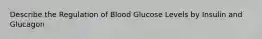 Describe the Regulation of Blood Glucose Levels by Insulin and Glucagon