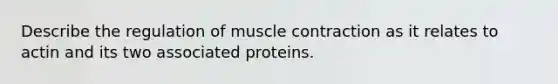 Describe the regulation of muscle contraction as it relates to actin and its two associated proteins.