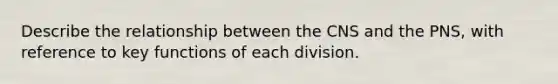 Describe the relationship between the CNS and the PNS, with reference to key functions of each division.