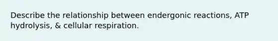 Describe the relationship between endergonic reactions, ATP hydrolysis, & cellular respiration.