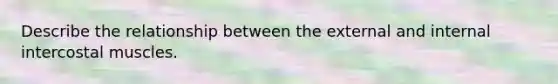 Describe the relationship between the external and internal intercostal muscles.