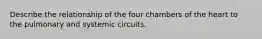 Describe the relationship of the four chambers of the heart to the pulmonary and systemic circuits.