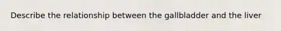 Describe the relationship between the gallbladder and the liver