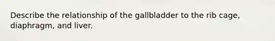 Describe the relationship of the gallbladder to the rib cage, diaphragm, and liver.