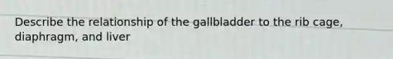 Describe the relationship of the gallbladder to the rib cage, diaphragm, and liver