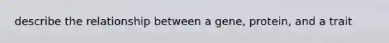 describe the relationship between a gene, protein, and a trait