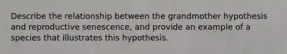 Describe the relationship between the grandmother hypothesis and reproductive senescence, and provide an example of a species that illustrates this hypothesis.