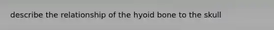 describe the relationship of the hyoid bone to the skull