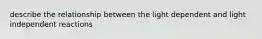 describe the relationship between the light dependent and light independent reactions