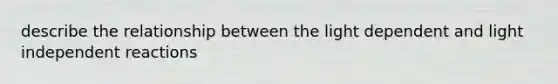 describe the relationship between the light dependent and light independent reactions