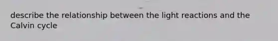 describe the relationship between the light reactions and the Calvin cycle