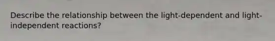 Describe the relationship between the light-dependent and light-independent reactions?