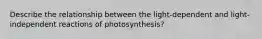 Describe the relationship between the light-dependent and light-independent reactions of photosynthesis?