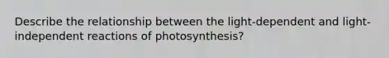 Describe the relationship between the light-dependent and light-independent reactions of photosynthesis?