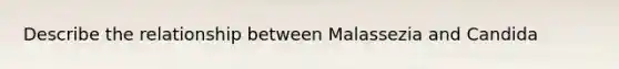 Describe the relationship between Malassezia and Candida