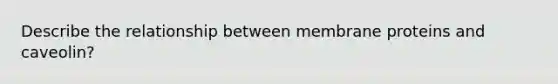 Describe the relationship between membrane proteins and caveolin?