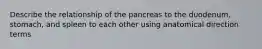 Describe the relationship of the pancreas to the duodenum, stomach, and spleen to each other using anatomical direction terms