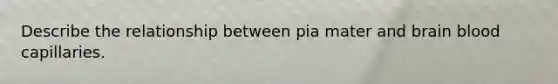 Describe the relationship between pia mater and brain blood capillaries.