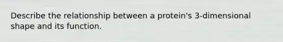 Describe the relationship between a protein's 3-dimensional shape and its function.