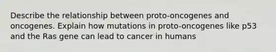 Describe the relationship between proto-oncogenes and oncogenes. Explain how mutations in proto-oncogenes like p53 and the Ras gene can lead to cancer in humans