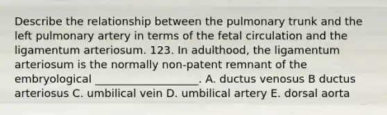 Describe the relationship between the pulmonary trunk and the left pulmonary artery in terms of the fetal circulation and the ligamentum arteriosum. 123. In adulthood, the ligamentum arteriosum is the normally non-patent remnant of the embryological ___________________. A. ductus venosus B ductus arteriosus C. umbilical vein D. umbilical artery E. dorsal aorta