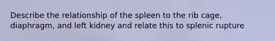 Describe the relationship of the spleen to the rib cage, diaphragm, and left kidney and relate this to splenic rupture