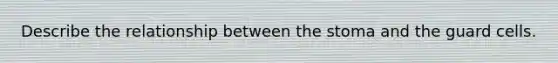 Describe the relationship between the stoma and the guard cells.