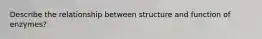 Describe the relationship between structure and function of enzymes?