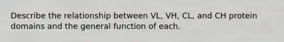 Describe the relationship between VL, VH, CL, and CH protein domains and the general function of each.