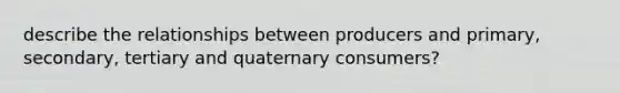 describe the relationships between producers and primary, secondary, tertiary and quaternary consumers?